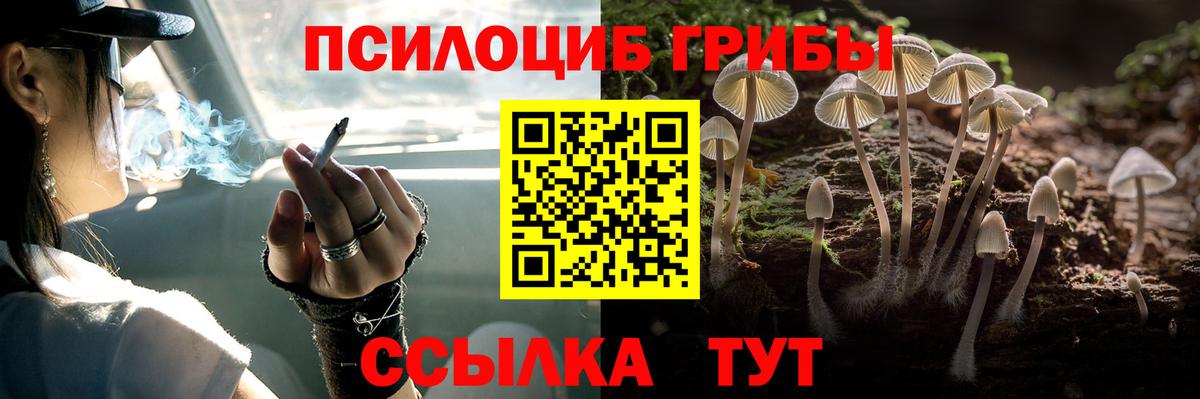 Апшеронск  даркнет сайт  Вход с VPN  Галлюциногенные грибы мицелий 