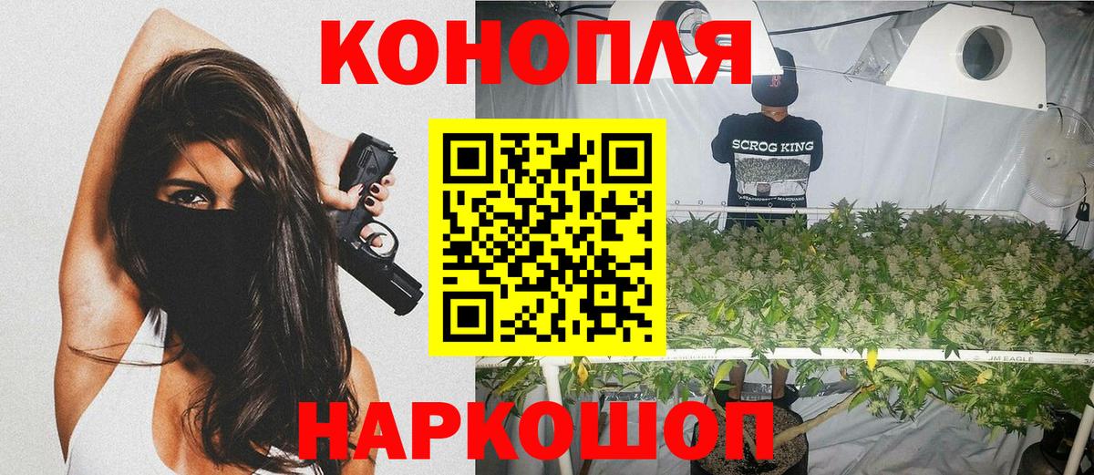 Бошки Шишки индика Апшеронск
